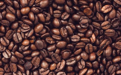 What Different Flavours Am I Looking For In Coffee?